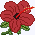 hibisc.png