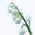 muguet.png